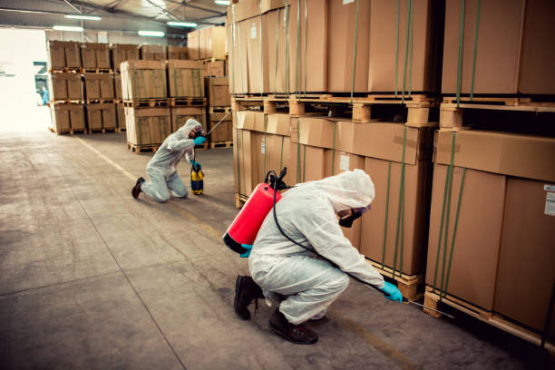 Reliable Owasso, OK Pest Control Solutions