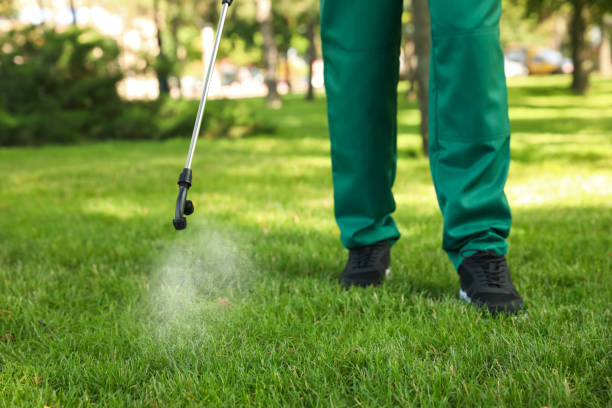 Best Affordable Pest Control Services  in Owasso, OK
