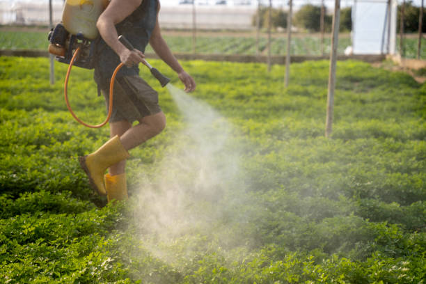 Best Pest Removal Services  in Owasso, OK