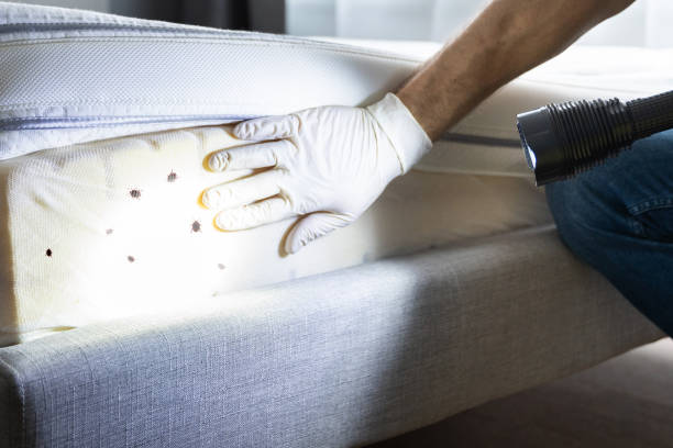 Best Insect Control  in Owasso, OK