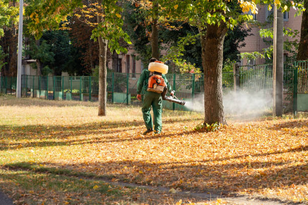Best Mosquito Control Services  in Owasso, OK